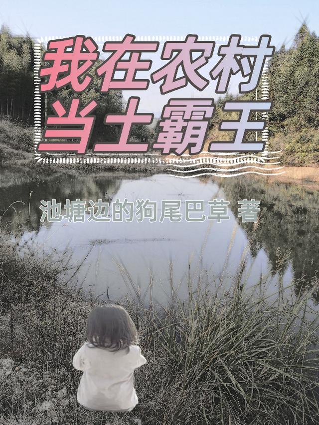 我在农村当土霸王