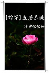 直播系统