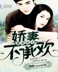 霸道前夫：娇妻不承欢