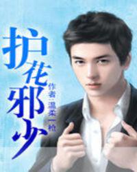 护花邪少