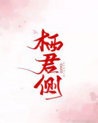 栖君侧