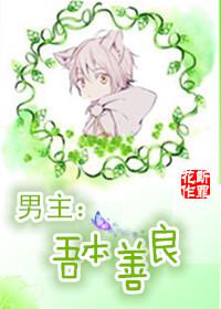男主：吾本善良