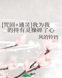 我为我的持有灵操碎了心