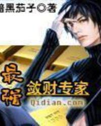 最强敛财专家