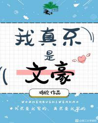 我真不是文豪
