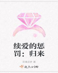 续爱的惩罚：归来