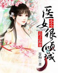 公子追妻，小小医女很倾城