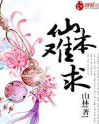 仙本难求