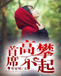 总裁，高攀不起