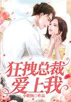 狂拽总裁爱上我