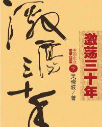 激荡三十年