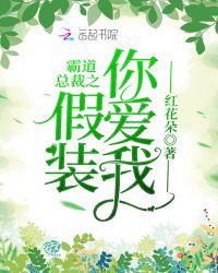 霸道总裁之假装你爱我