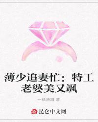 薄少追妻忙：特工老婆美又飒