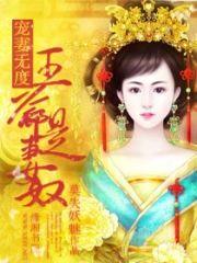 宠妻无度-王爷是妻奴