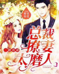 二婚有喜：总裁撩妻太磨人