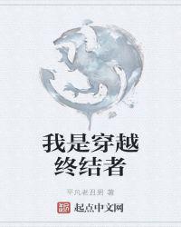 我是穿越终结者