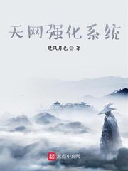 天网强化系统