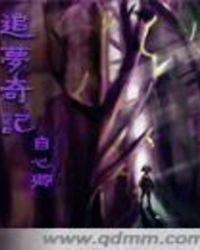 追梦奇记
