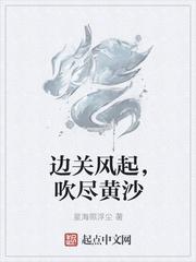 边关风起，吹尽黄沙