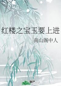 红楼之宝玉要上进