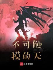 不可触摸的天