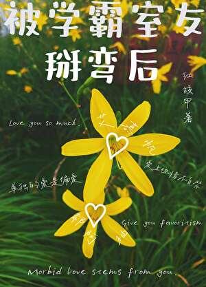 被学霸室友掰弯后