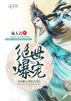 绝世爆宠：闷骚王爷轻点爱