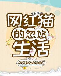 网红猫的忽悠生活