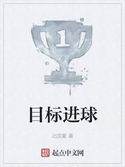 目标进球