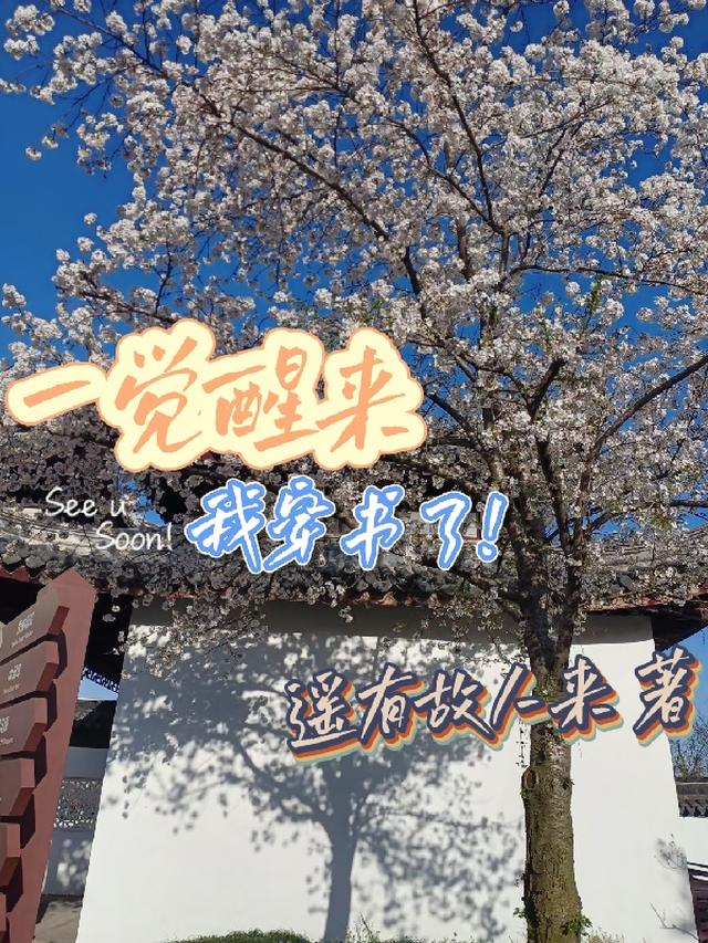 遥有故人来的第3本书