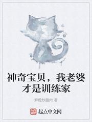 神奇宝贝，我老婆才是训练家