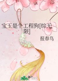 宝玉是个工程狗