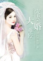 宠妻之大婚难停