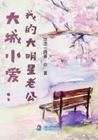 大城小爱：我的大明星老公