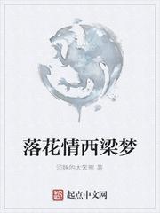 落花情西梁梦