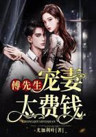 傅先生宠妻太费钱
