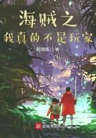 海贼之我真的不是玩家