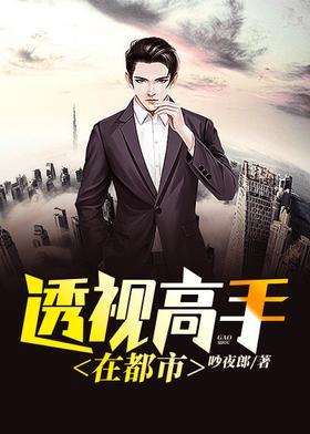 透视高手在都市