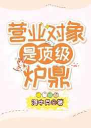 营业对象是顶级炉鼎