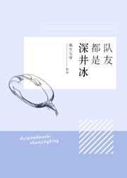 队友都是深井冰
