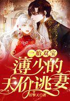 一胎双宝，薄少的天价逃妻