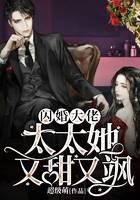 闪婚大佬：太太她又甜又飒