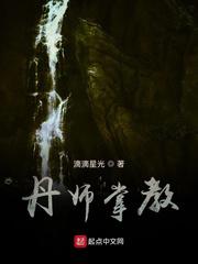 丹师掌教