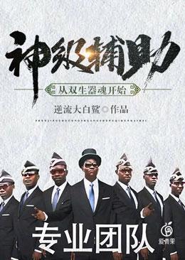 神级辅助：从双生器魂开始