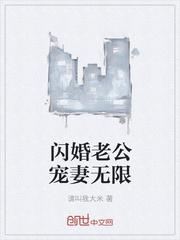 闪婚老公宠妻无限