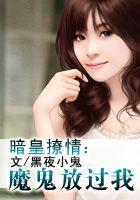 暗皇宠妃