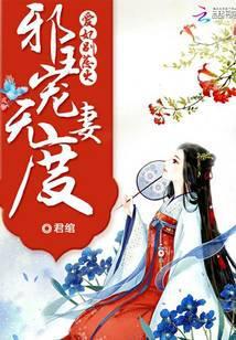 邪王宠妻无度：爱妃，别惹火