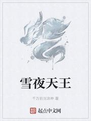 雪夜天王
