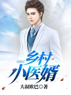 乡村小医婿