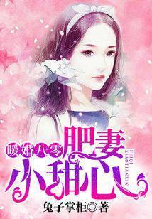 暖婚八零：肥妻小甜心
